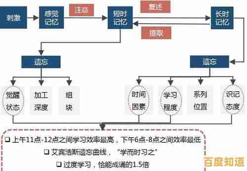 重塑认知架构：通过系统训练实现记忆力质的飞跃